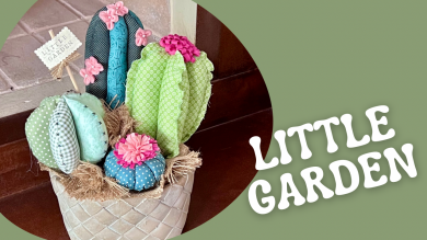 Conjunto de cactus «Little Garden»