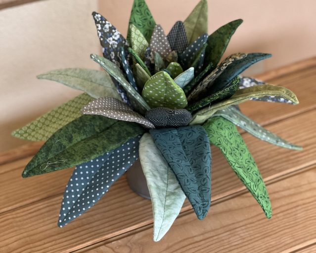 cactus aloe vera tela planta patchwork